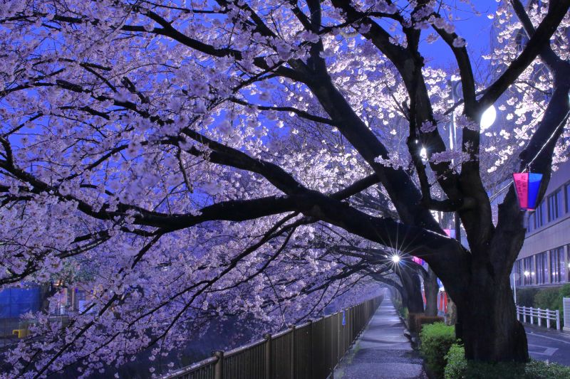 7 giai thoại kinh dị trong trường học Nhật Bản